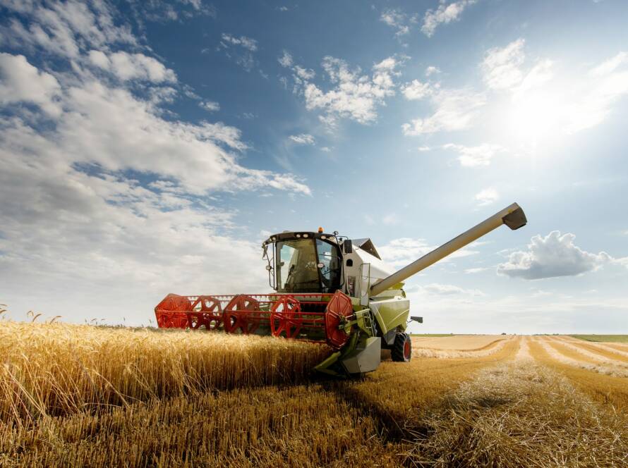 Produzione e Vendita Cereali e altri Prodotti per l'Agricoltura Gruppo Agristar srl